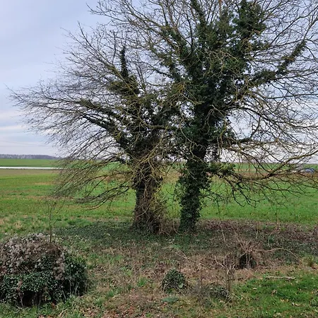 Apartman Maisonnette A 20min De *